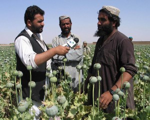 Public domain image of Voice of America interviewing Afghan poppy farmers.