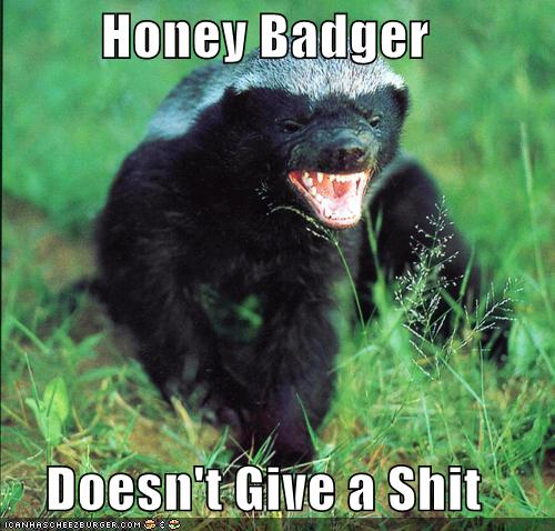honey badger dont give a. Did I mention Honey Badger is